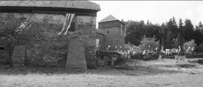 800_valley_of_the_bees_2