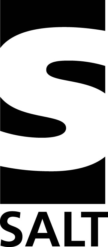 salt_logotype