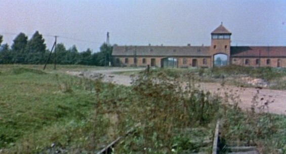 night-and-fog-2-565x304