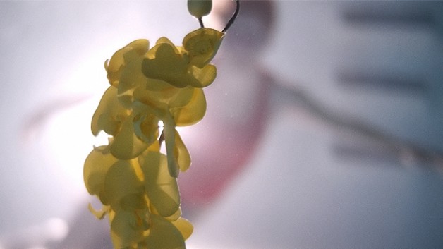 Upstream-Color-Swimming-Pool-e1365206613498