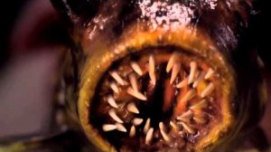 John-Dies-at-the-End-Red-Band-Trailer1