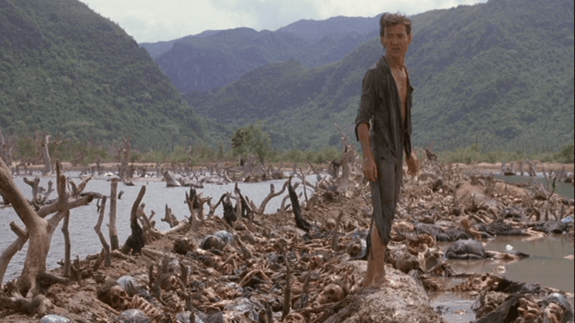 vlcsnap-2010-11-12-23h11m41s2031