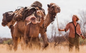 n-film-tracks-2053-14