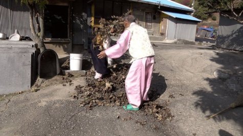 My-Love-Dont-Cross-That-River_47